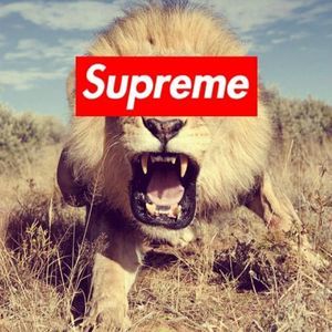 Meet your Posher, Henry